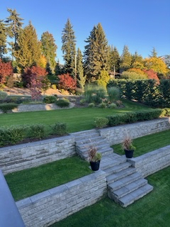 Lush green lawn maintained with Perfect Blend