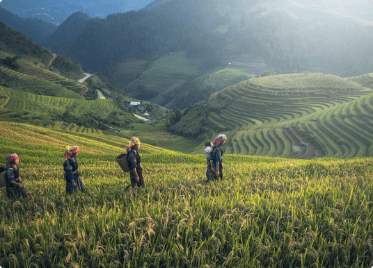 Agriculture – farm